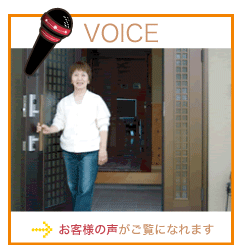 VOICE